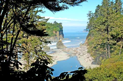 Olympic Peninsula, Washington  32