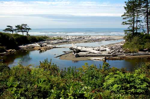 Olympic Peninsula, Washington 50