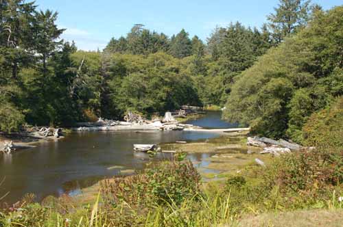 Olympic Peninsula, Washington  56