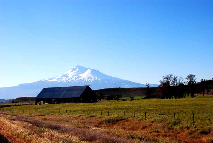 Olympic Peninsula