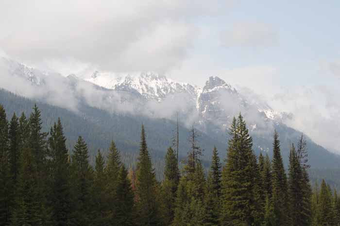 Banff & Jasper, 2011