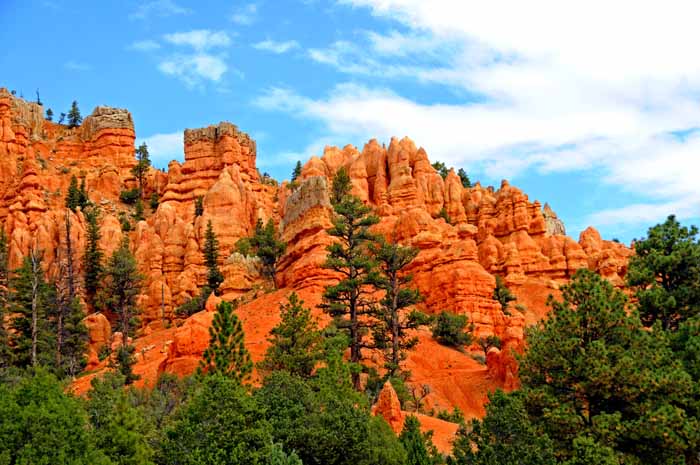 Cedar Breaks,Red Canyon,Bryce Canyon NP