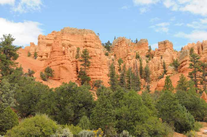 Cedar Breaks,Red Canyon,Bryce Canyon NP