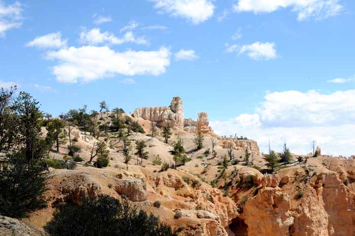 Cedar Breaks,Red Canyon,Bryce Canyon NP