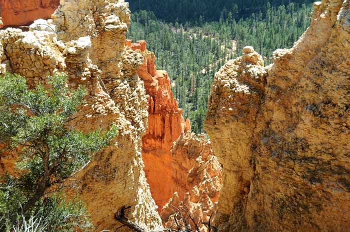 Cedar Breaks,Red Canyon,Bryce Canyon NP