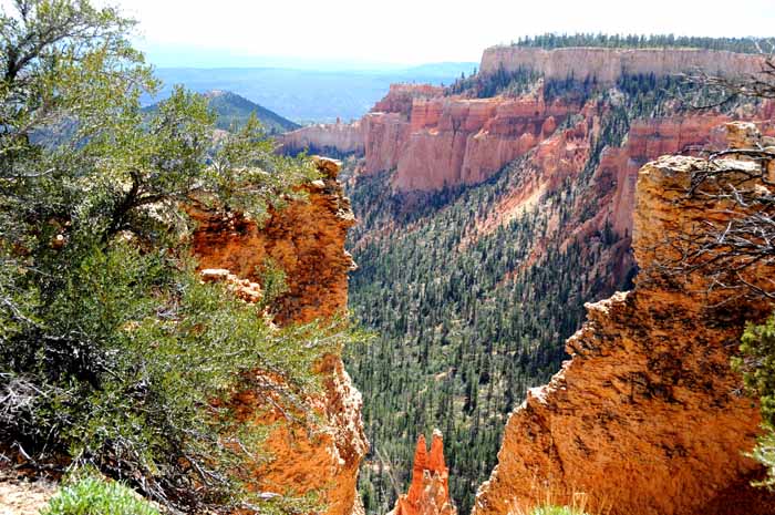 Cedar Breaks,Red Canyon,Bryce Canyon NP