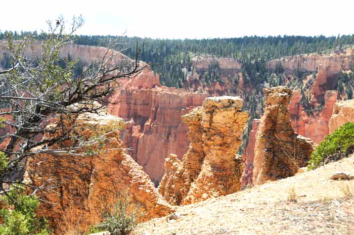 Cedar Breaks,Red Canyon,Bryce Canyon NP