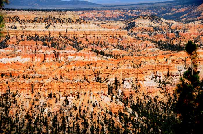 Cedar Breaks,Red Canyon,Bryce Canyon NP