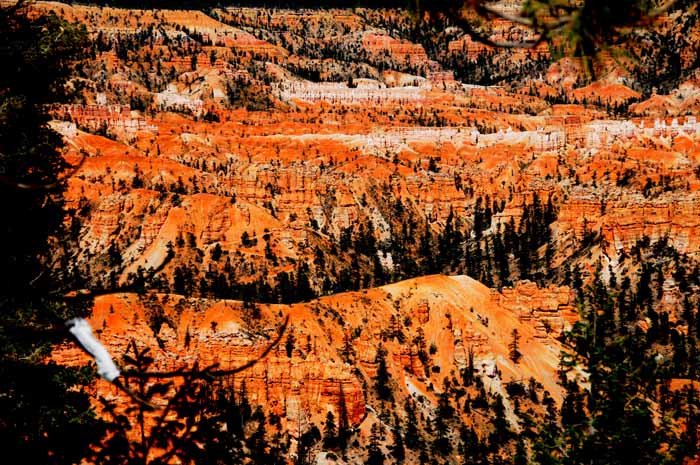 Cedar Breaks,Red Canyon,Bryce Canyon NP