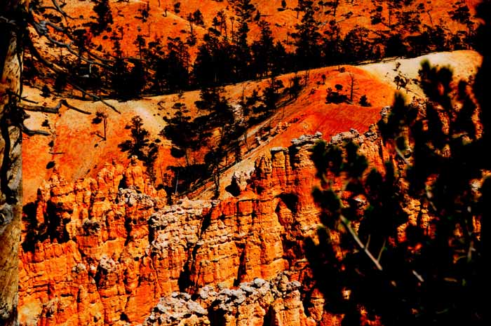 Cedar Breaks,Red Canyon,Bryce Canyon NP