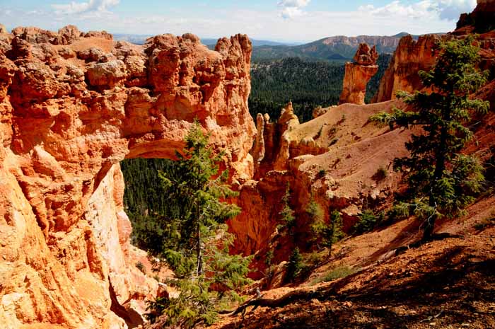 Cedar Breaks,Red Canyon,Bryce Canyon NP