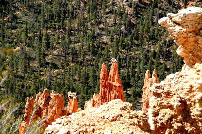 Cedar Breaks,Red Canyon,Bryce Canyon NP