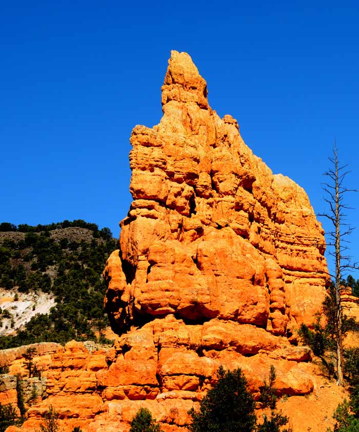 Cedar Breaks,Red Canyon,Bryce Canyon NP