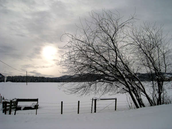 Winter field2.jpg