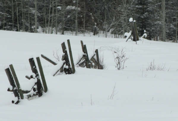 Winter Fence.jpg