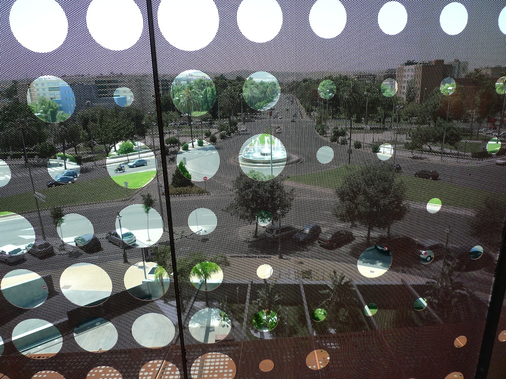 P1020308.jpg