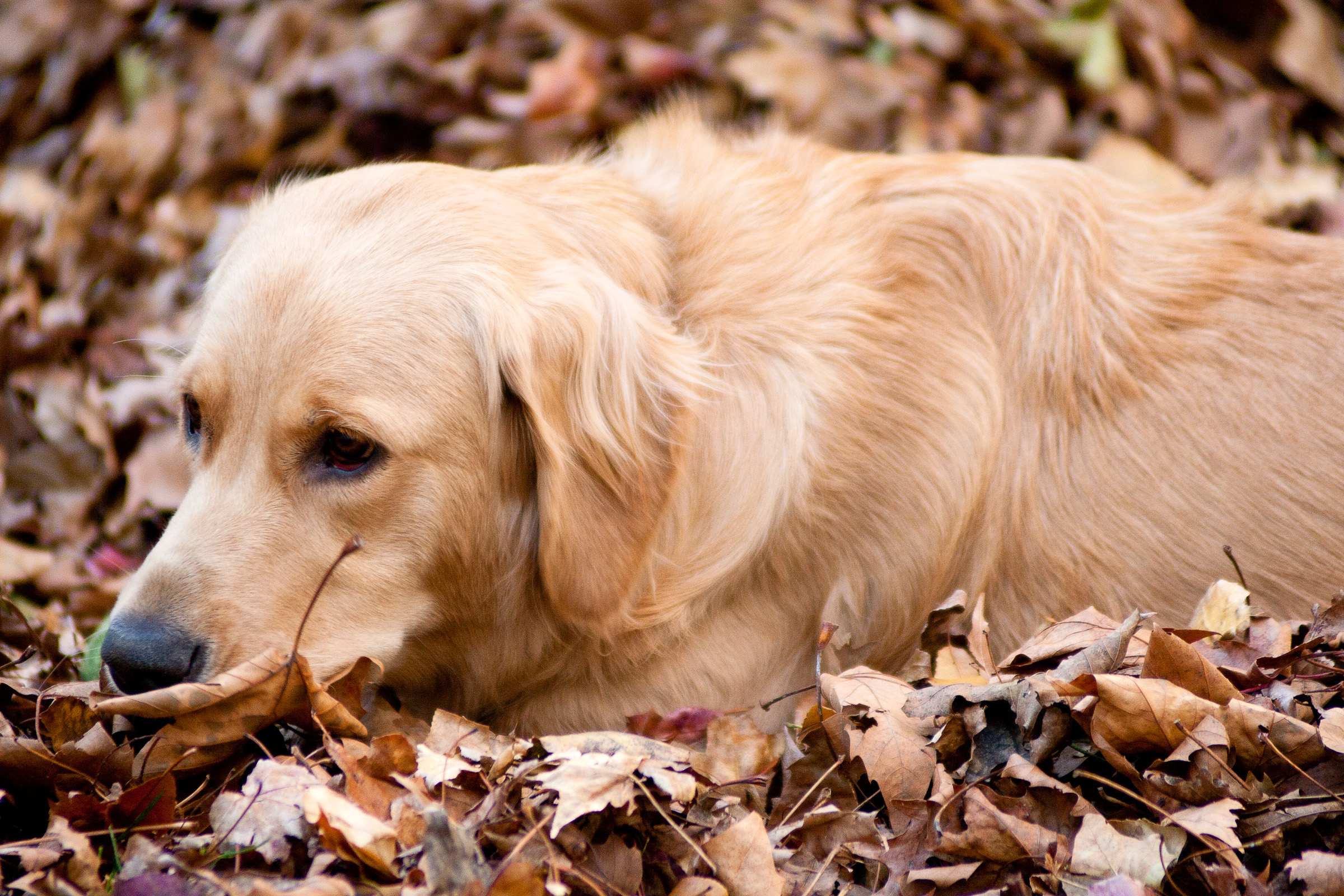 Were you raking here?