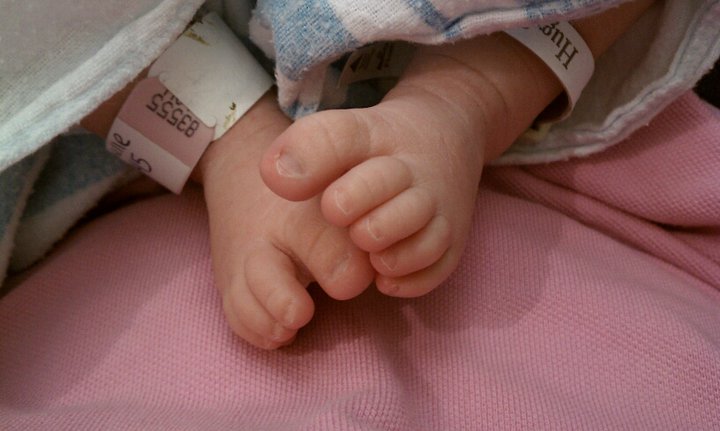 feet