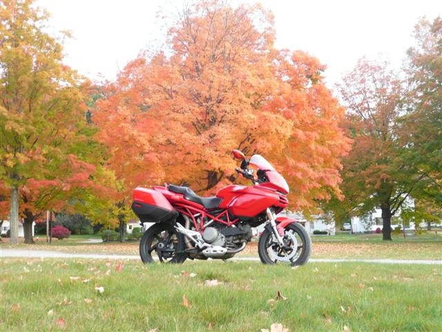 P1030145 (Small).JPG