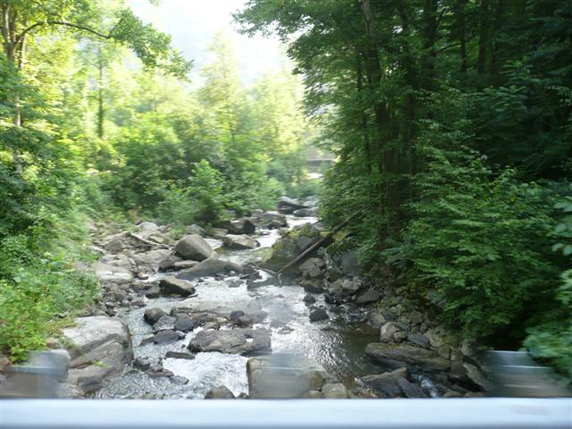 P1080543 (Small).JPG