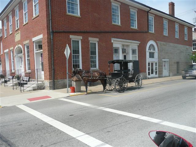 P1080632 (Small).JPG