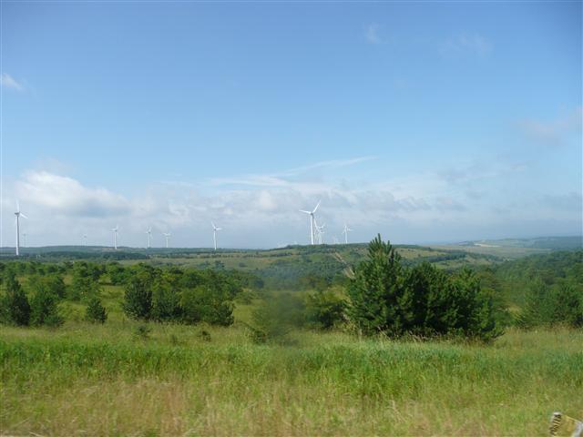 P1080741 (Small).JPG