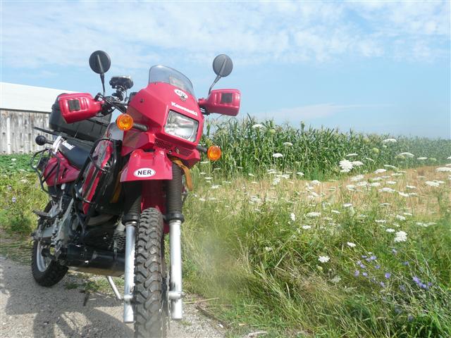 P1080780 (Small).JPG
