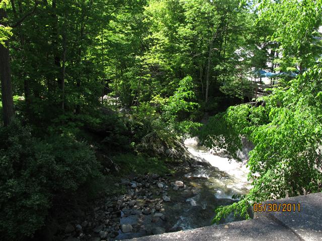 IMG_0911 (Small).JPG