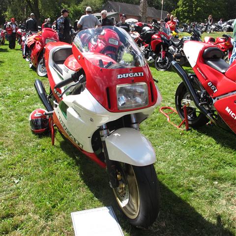 IMG_5342 (Small).JPG