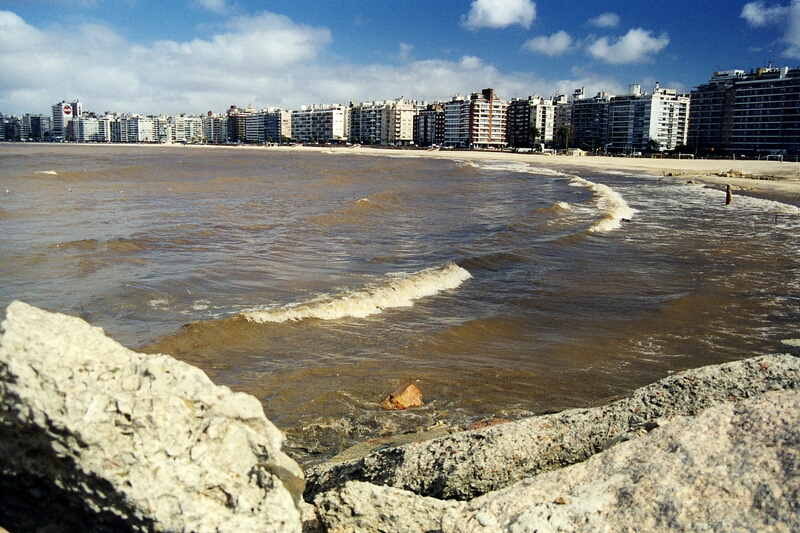 Playa de los Pocitos, Montevideo