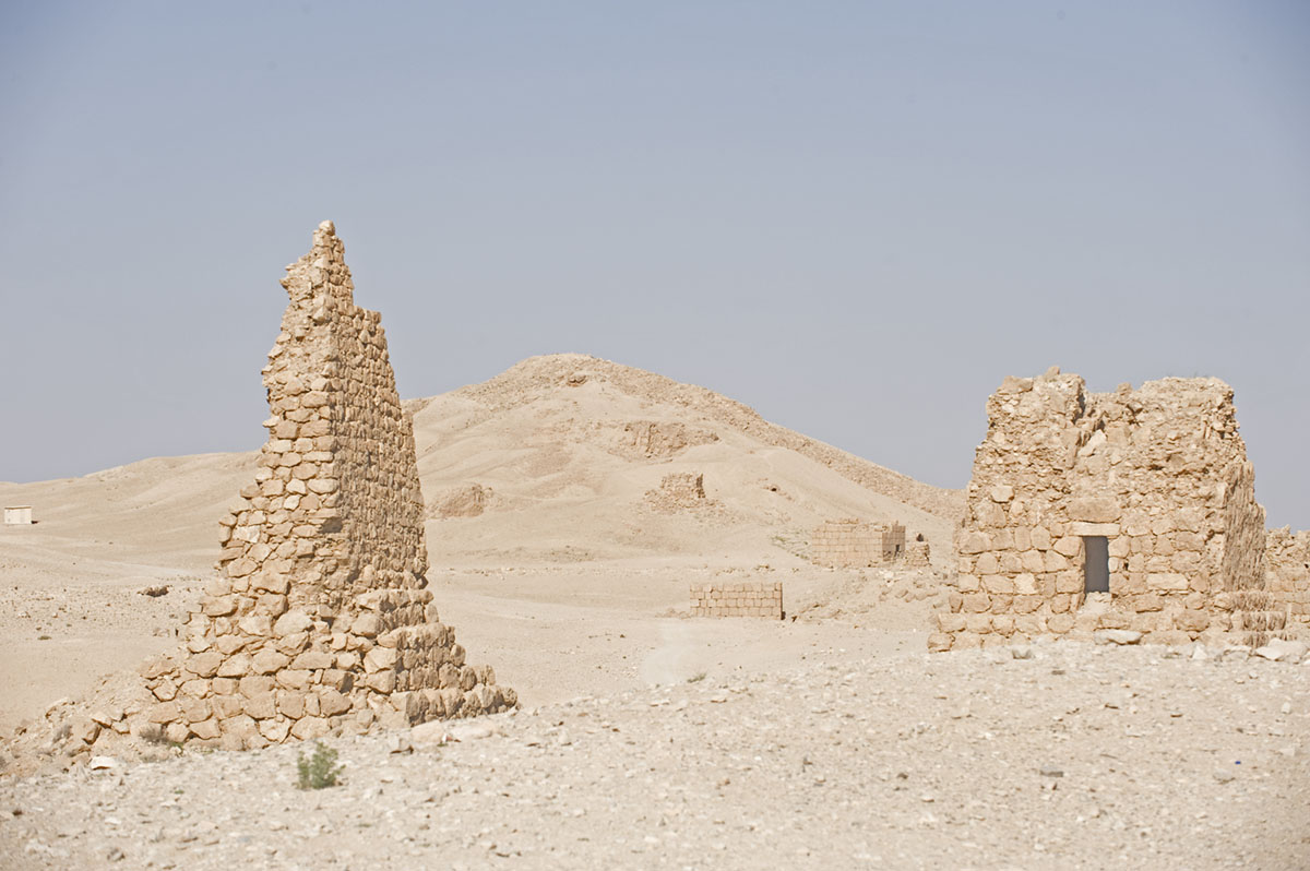Palmyra apr 2009 0018.jpg