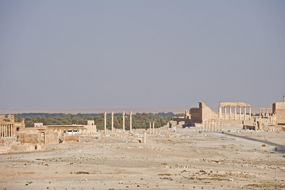 Palmyra apr 2009 0020.jpg