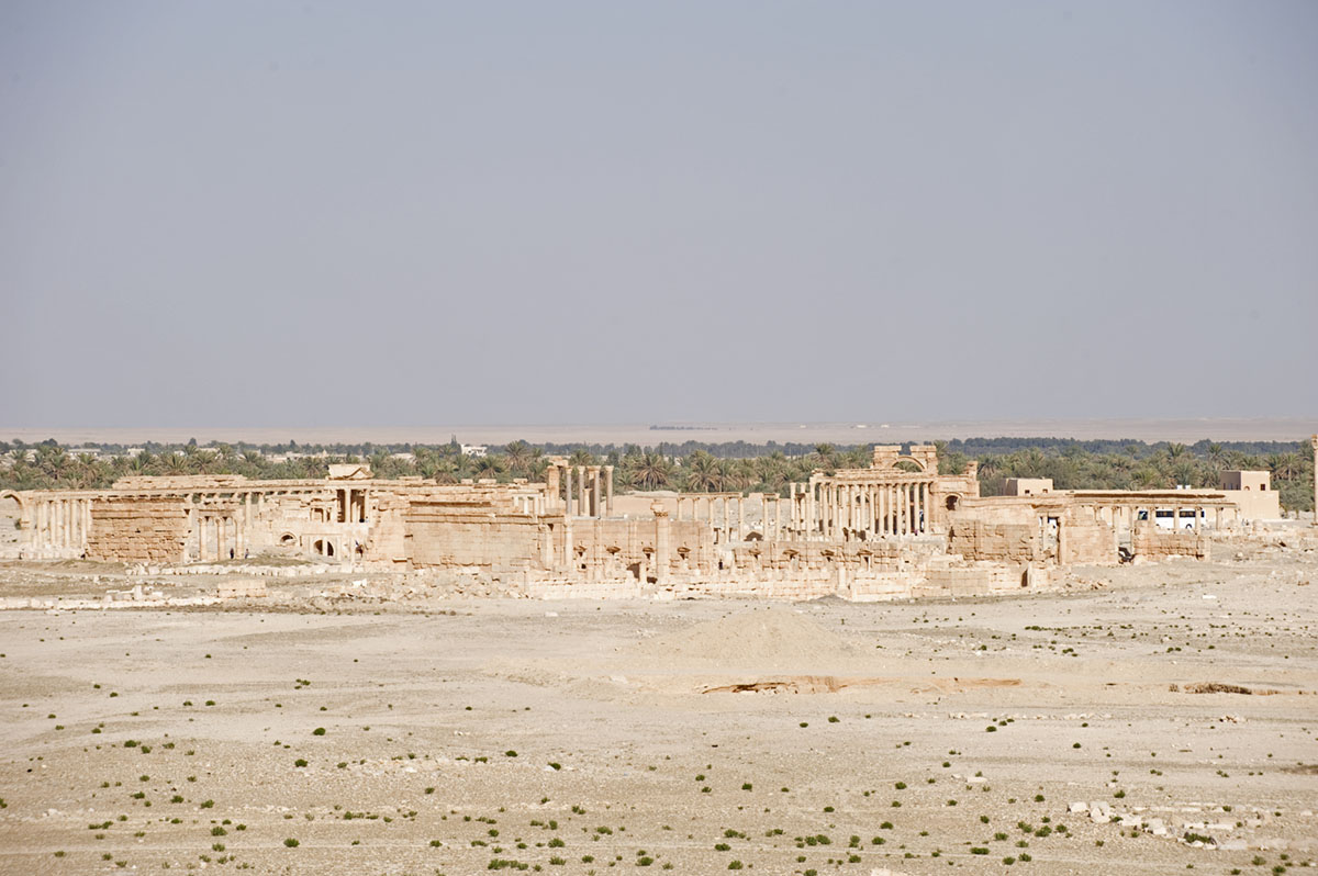 Palmyra apr 2009 0021.jpg