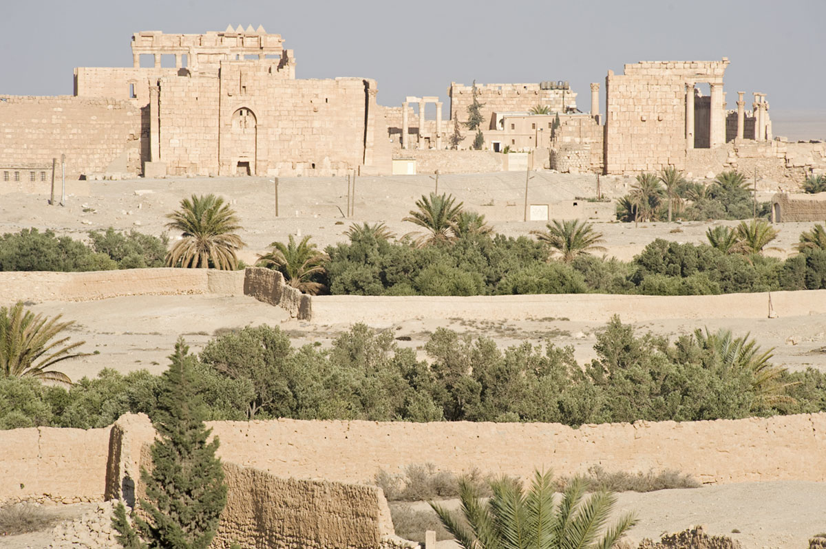 Palmyra apr 2009 0043.jpg