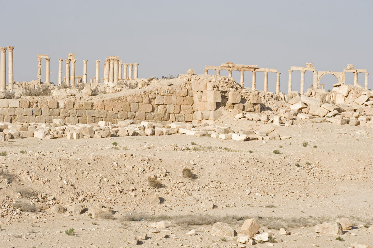 Palmyra apr 2009 0049.jpg