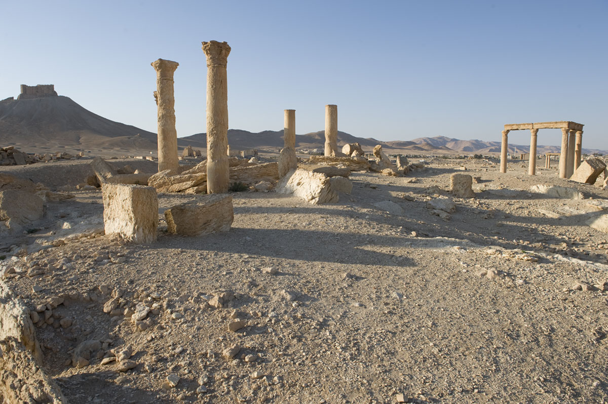 Palmyra apr 2009 0076.jpg