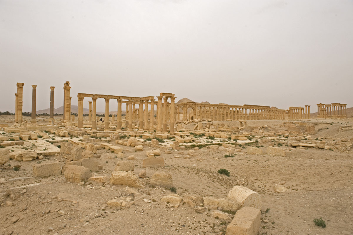 Palmyra apr 2009 0174.jpg