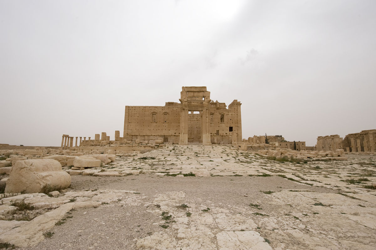 Palmyra apr 2009 0198.jpg