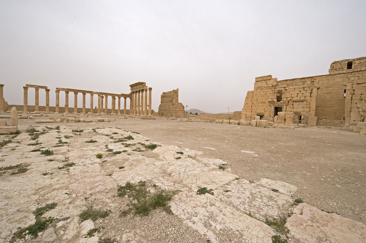 Palmyra apr 2009 0200.jpg