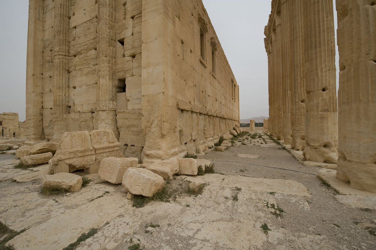 Palmyra apr 2009 0233.jpg