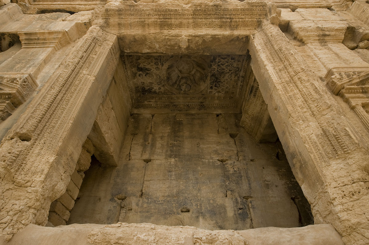 Palmyra apr 2009 0280.jpg