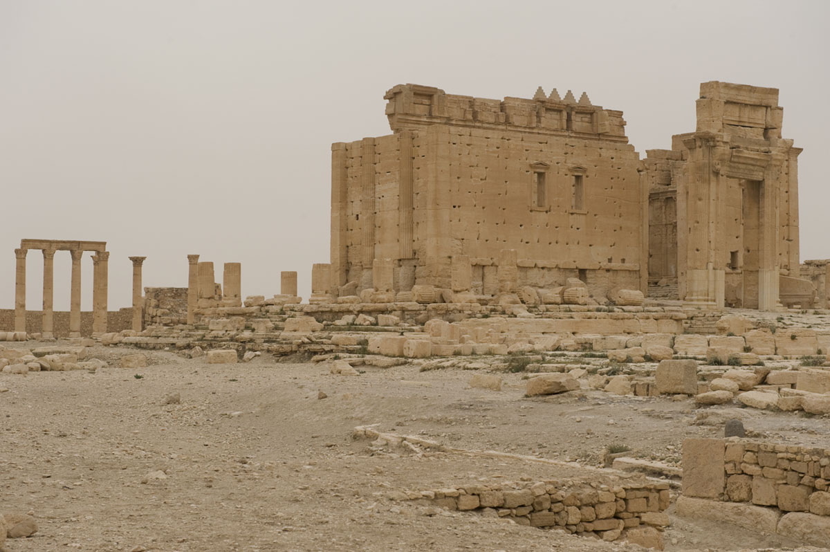 Palmyra apr 2009 0292.jpg