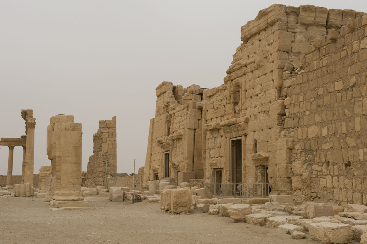 Palmyra apr 2009 0297.jpg