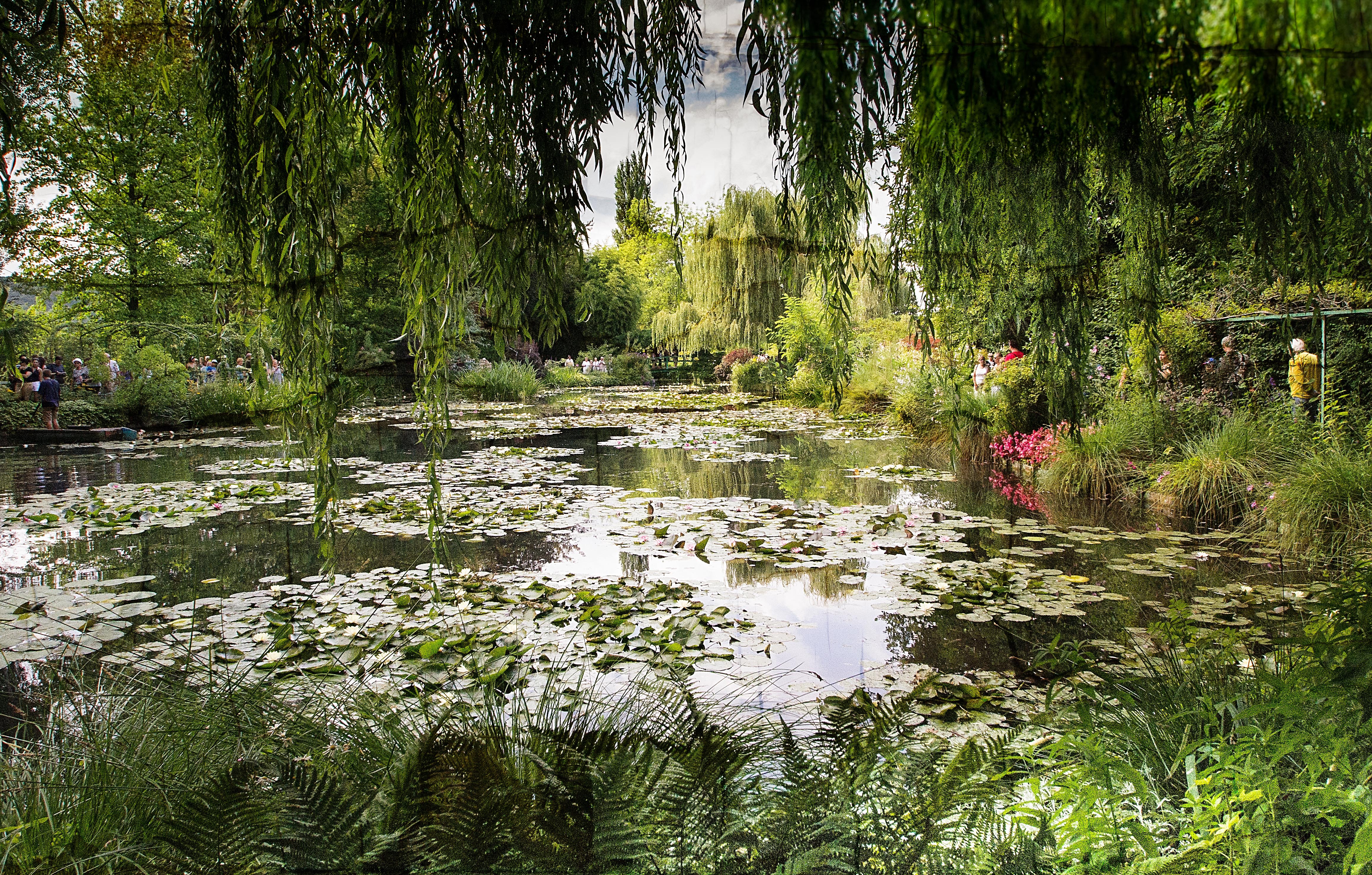 monet garden-19.jpg