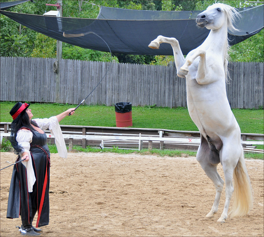 Bristol Renaissance Faire