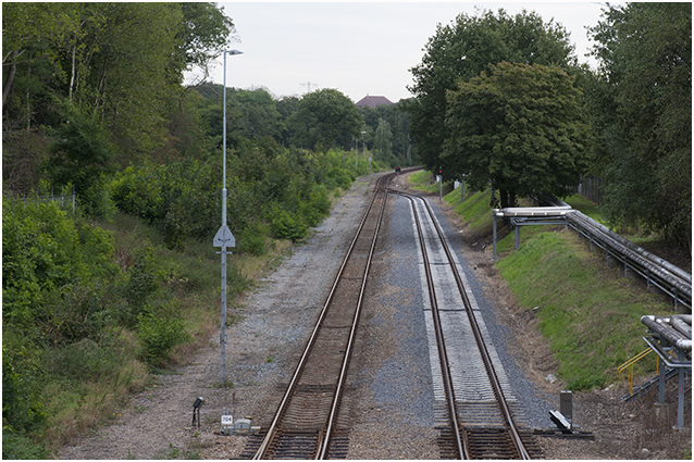 DSM-spoor