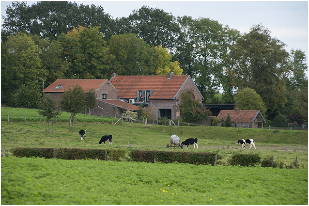 boerderij en vredig landschap 