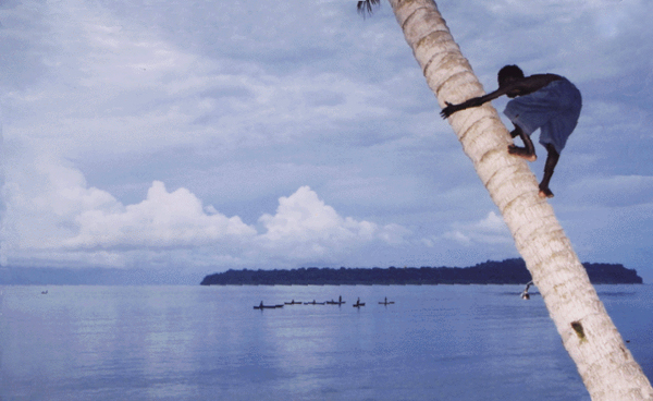 Climbing for a coconut as they fish from dugouts