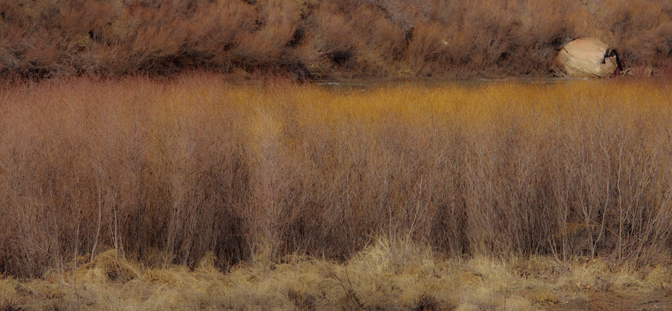 River Sentries