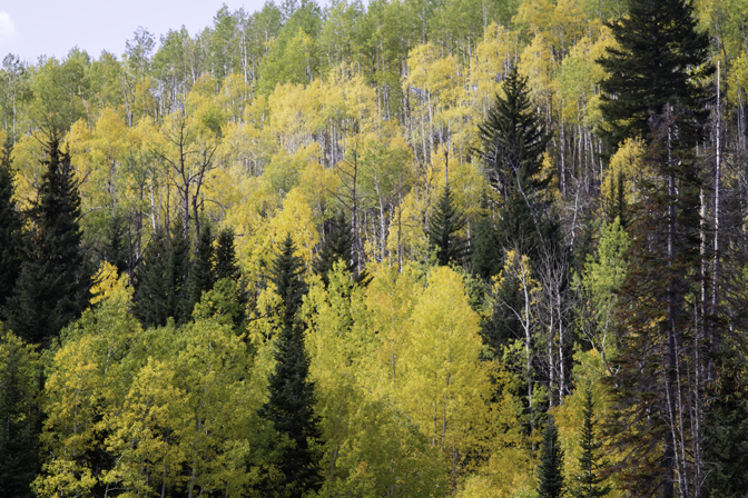 Autumn Colors at the Summit